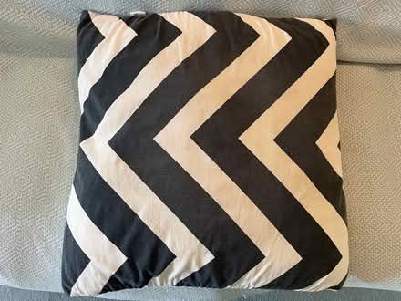 Photo of free Large dog cushion black & white (Henley-on-Thames RG9) #1