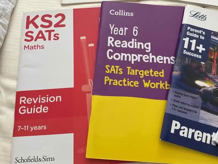 Photo of free 11+ books, SATS and two great reading books (DA3) #4