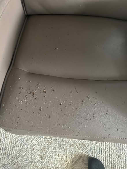 Photo of free Reclining chair (Harleysville) #3