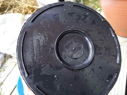 Photo of free Outside cup, bowl, bucket/bin (Colchester CO4) #3