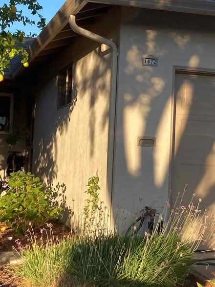Photo of free 1472 Floyd Sunnyvale couch etc (Foothill Boulevard Cupertino) #2