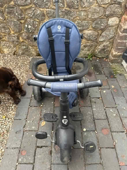 Photo of free Push along trike (TN23) #3