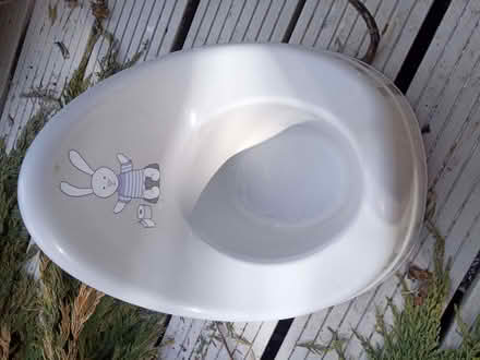 Photo of free Children's potty (Colchester CO4) #1
