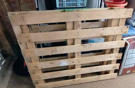 Photo of free Wooden pallets x2 (Pagham PO21) #1