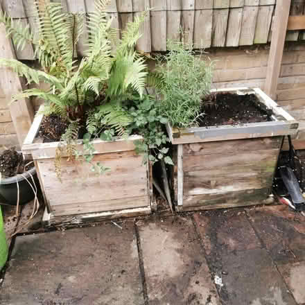 Photo of free Planters (South Bermondsey SE15) #1