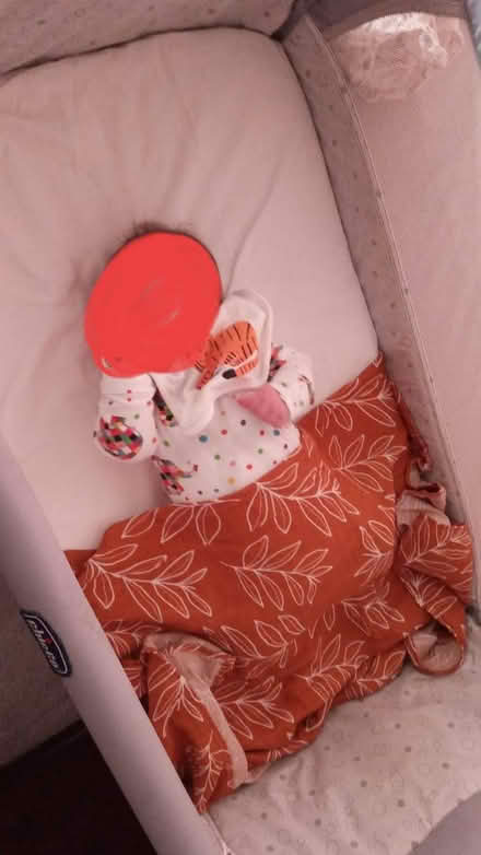Photo of free Next to me cot (Cheetham Hill M8) #1