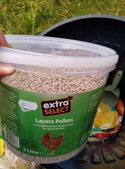Photo of free Chicken food (Kennington OX1) #2