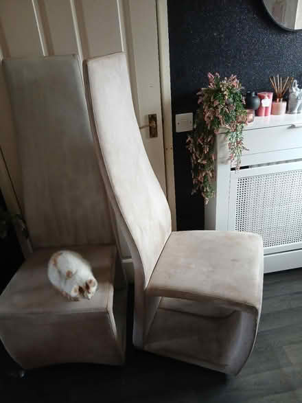 Photo of free Dining chairs (Canford Heath, BH17 8) #2