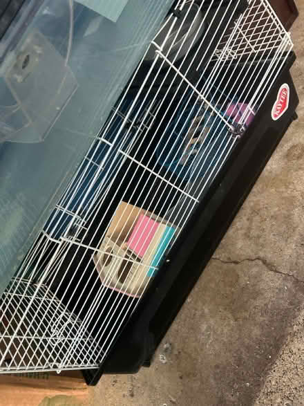 Photo of free Hamster items (Roseville, Mn) #2