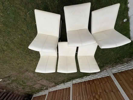 Photo of free 6 Dining Chairs (Rotherham S62) #3
