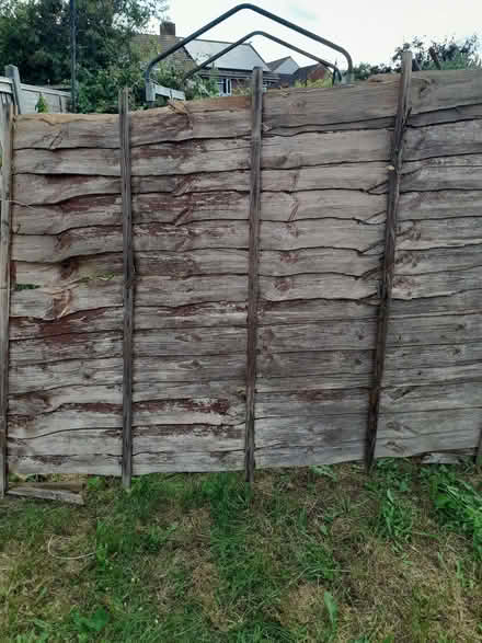 Photo of free 2x used fence panels (Havant PO9) #2