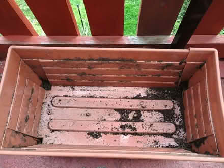 Photo of free Planter (Duddingston EH8) #3
