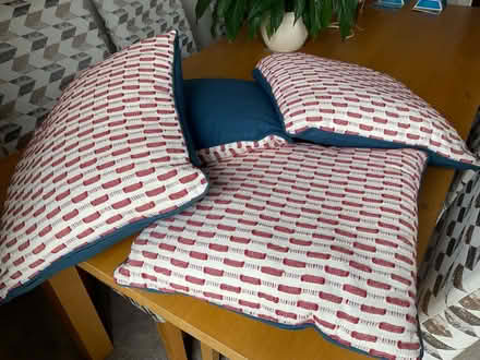 Photo of free Cushions (Thorpe End NR13) #2