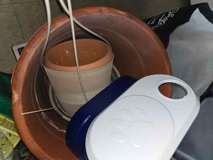 Photo of free Planters (Soundview) #1