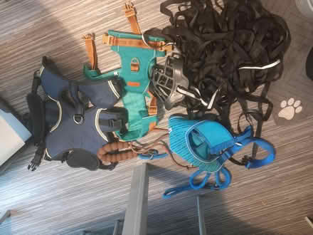 Photo of free Dog items (Stockport SK2) #1
