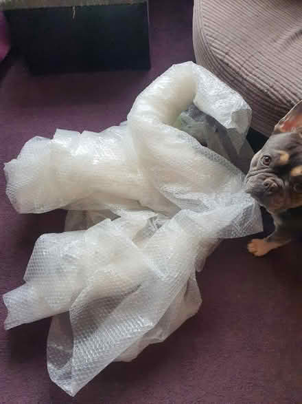 Photo of free Bubble wrap (Darnall S9) #1