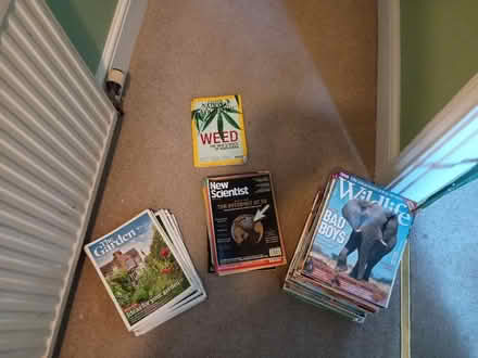 Photo of free Magazines - RHS, BBC wildlife (BS16 Staple Hill) #1