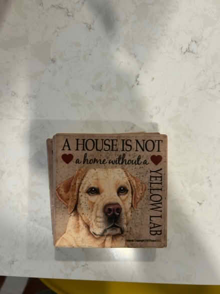 Photo of free Yellow Lab Coasters (Ball square Somerville) #1