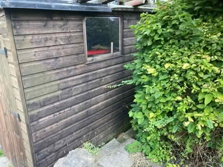 Photo of free Shed (Crossgates LS15) #3