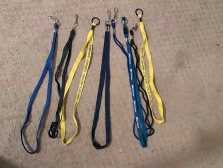 Photo of free Lanyards (Madeley Lane in Bowie) #1