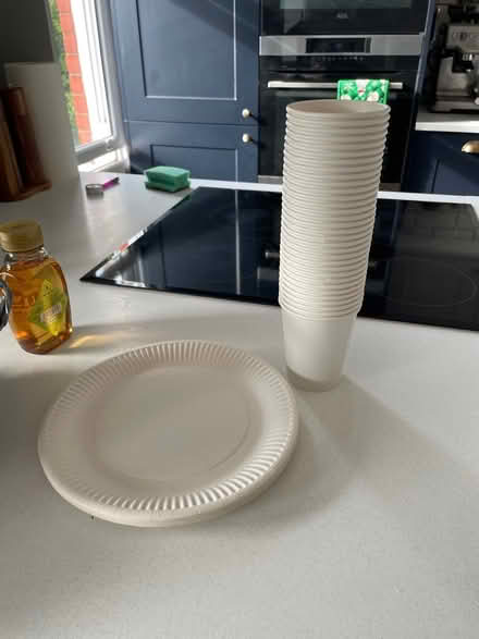 Photo of free Paper plates and paper cups (Bounds green) #1