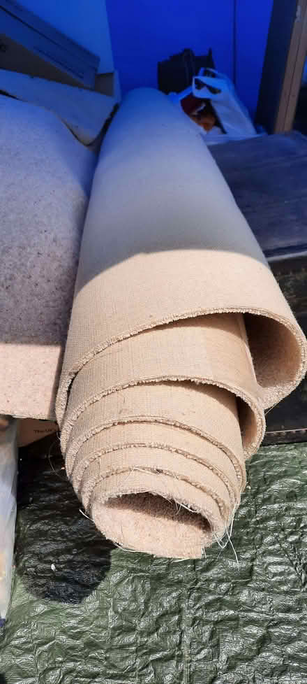 Photo of free neutral carpet (Garden City OX5) #1