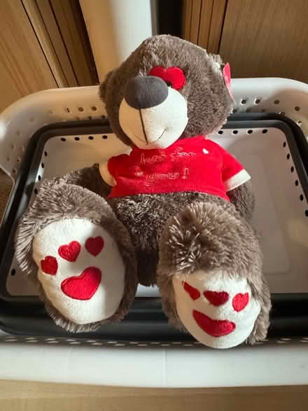 Photo of free Teddy bear (BT4) #2