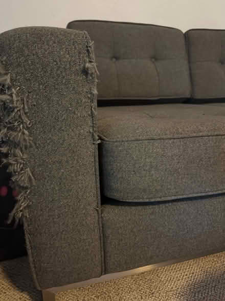 Photo of free Gray Gus Modern Sofa (Carmichael) #4