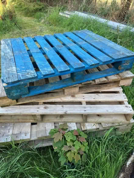 Photo of free Pallets (Daingean, Tullamore) #1