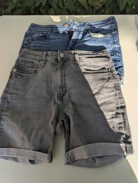 Photo of free jean shorts, womens L (Davis Square Somerville) #1