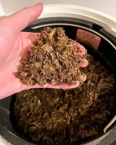 Photo of free Compost - From Lomi (Hudson, New York) #1