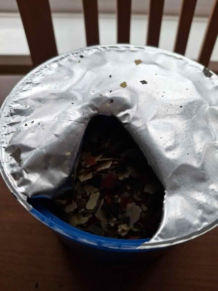 Photo of free Goldfish food (WV11, Essington, Wolverhampton) #2
