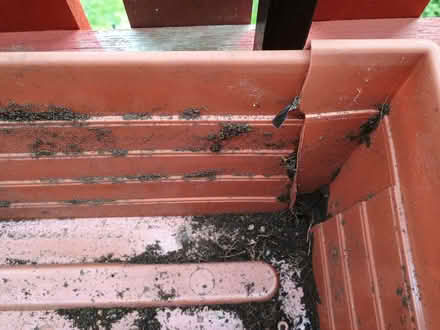 Photo of free Planter (Duddingston EH8) #2