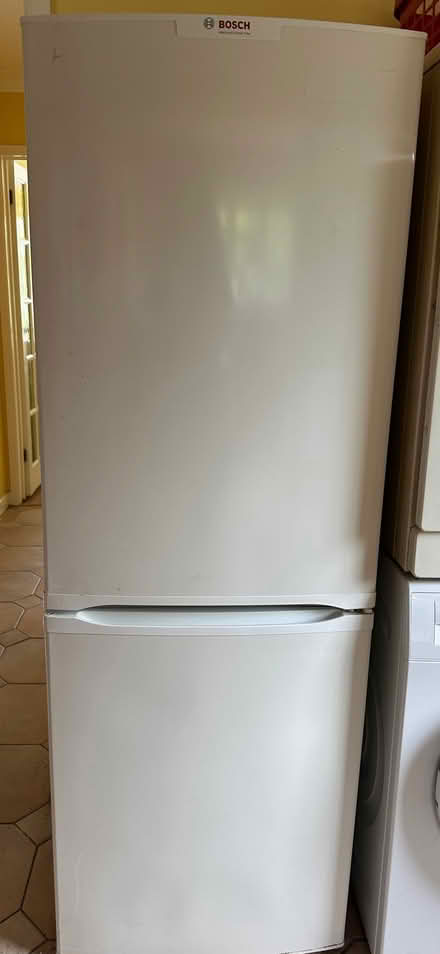 Photo of free Bosch fridge/freezer (Knotty Green HP9) #2
