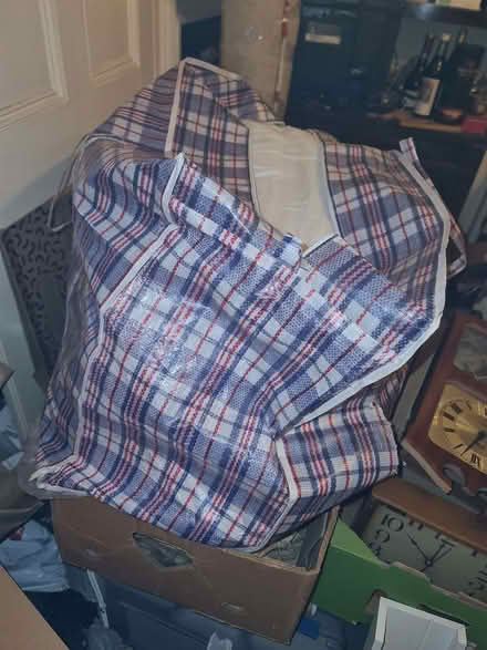 Photo of free Old pillows (E8) #1