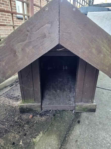 Photo of free Dog house (Chelmsford CM1) #1