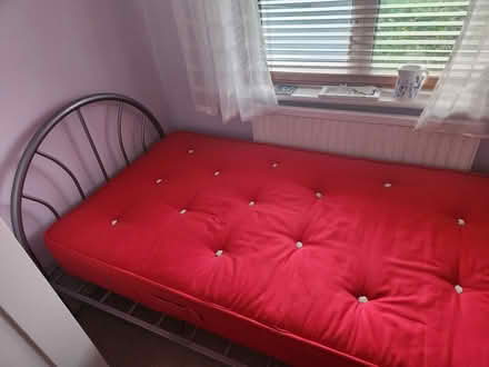 Photo of free Single bed and mattress (whyteleafe) #2