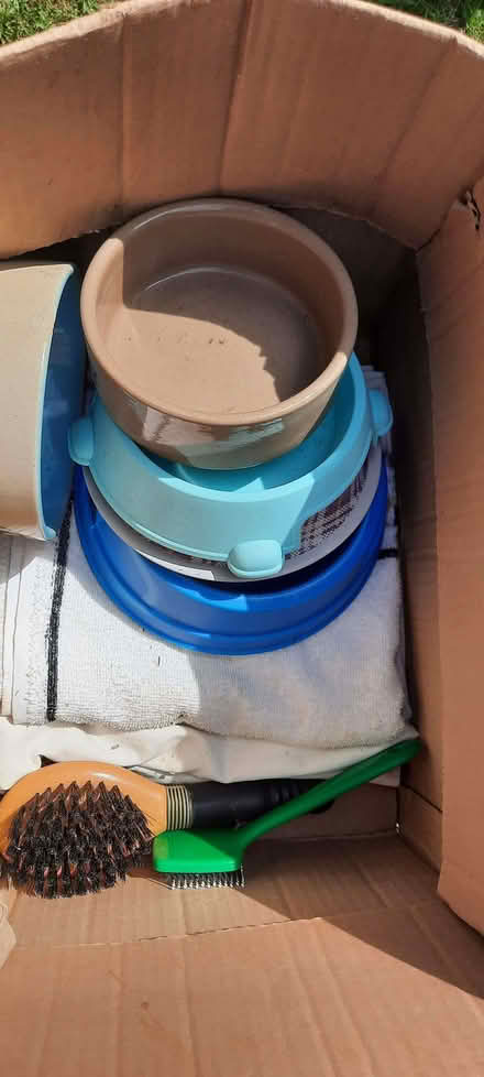 Photo of free Cat carrier and accessories (Garden City OX5) #1
