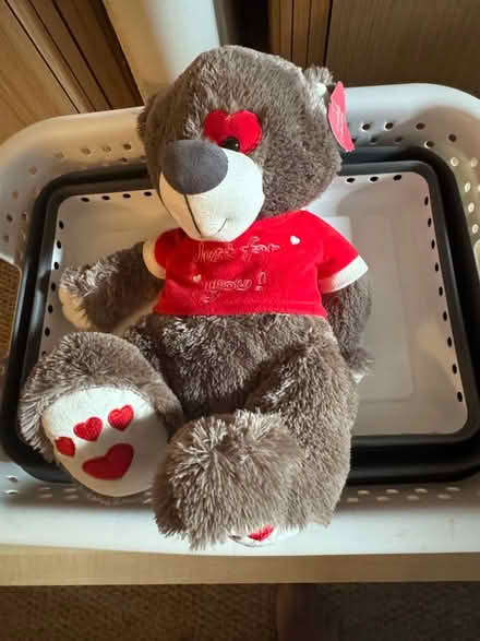 Photo of free Teddy bear (BT4) #1