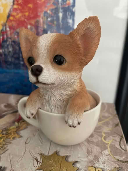 Photo of free Pup in Cup (Farmington Hills) #1