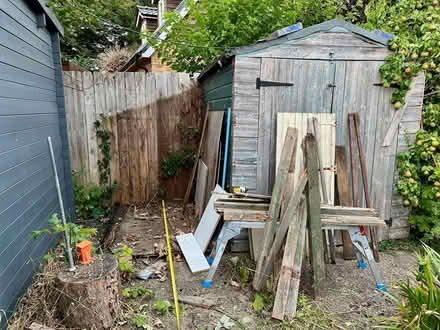 Photo of free 6'x4' Shed with window, curtain (CB6 Littleport) #1