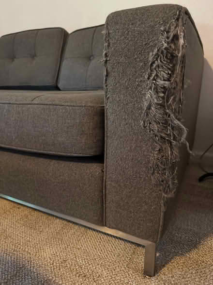 Photo of free Gray Gus Modern Sofa (Carmichael) #3