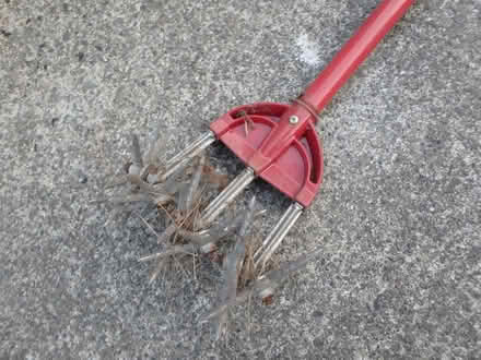 Photo of free Lawn Aeration Tool (Interbay/Queen Anne) #2