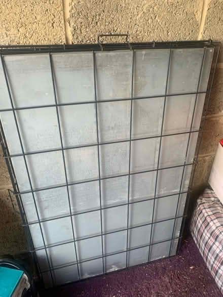 Photo of free Dog cage (SP5) #1