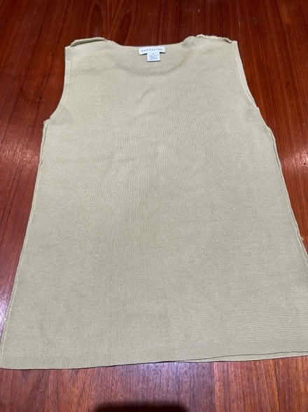 Photo of free Ann Taylor Silk Top (Reston Lake Anne vicinity) #1