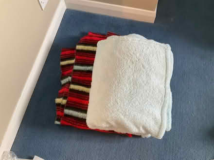 Photo of free Bedding (Little Marcle HR8) #2