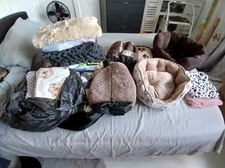Photo of free Animal beds and blankets (Havant PO9) #1