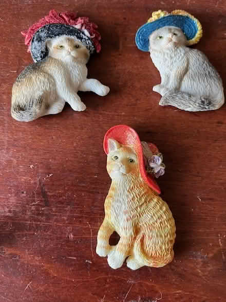 Photo of free Cat lady fridge magnets (South Novato near Hamilton) #1