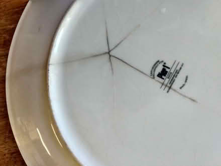 Photo of free Two Pier 1 Plates (Dorsey's Search) #1
