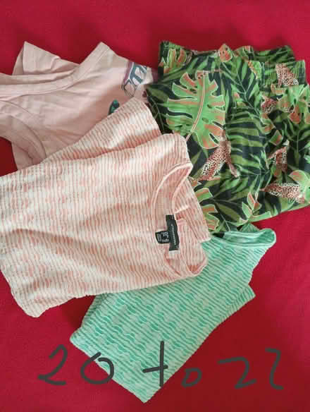 Photo of free Bag of women clothes (Bonnington EH6) #2